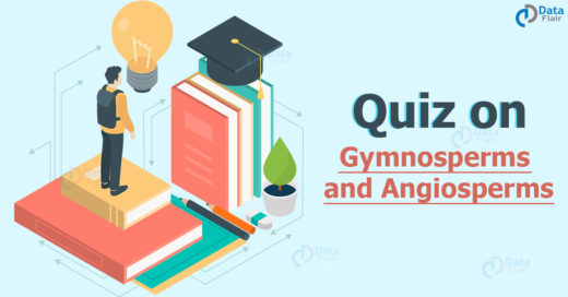 Quiz on Gymnosperms and Angiosperms