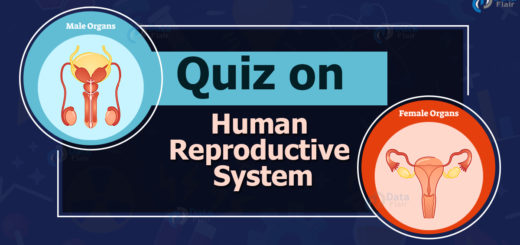 Quiz on Human Reproductive System