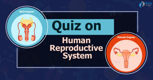 Quiz on Human Reproductive System