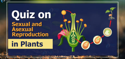 Quiz on Sexual and Asexual Reproduction in Plants
