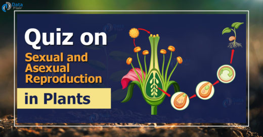 Quiz on Sexual and Asexual Reproduction in Plants