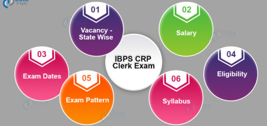 IBPS CRP Clerk Exam