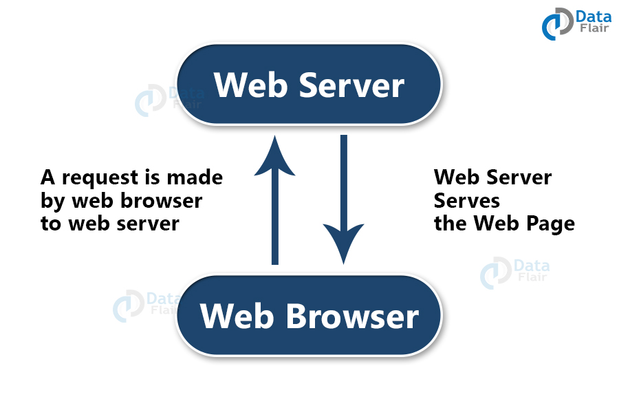 The Browser