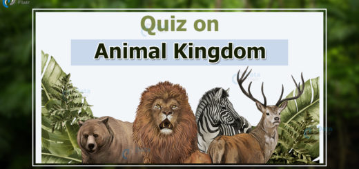 Quiz on Animal Kingdom