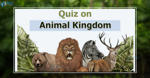 Quiz on Animal Kingdom