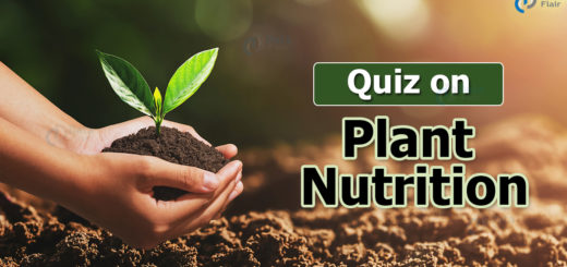 Quiz on Plant Nutrition