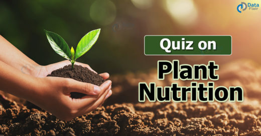 Quiz on Plant Nutrition