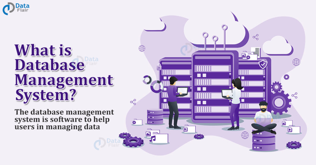 What is Database Management System