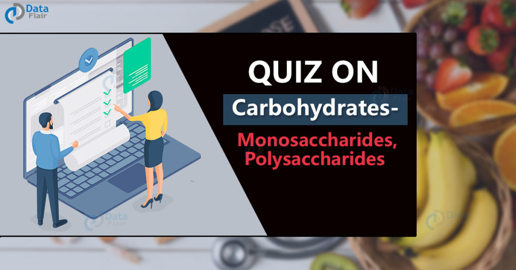 Quiz on Carbohydrates