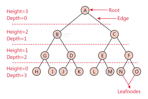 Tree Data Structure - DataFlair