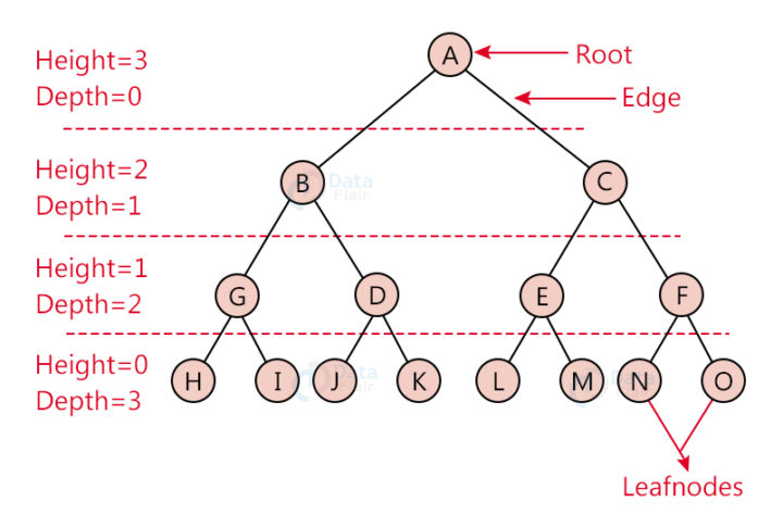 Tree Data Structure DataFlair   DS Tree Normla Image02 720x485 