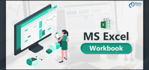 MS Excel Workbook