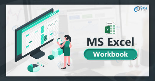 MS Excel Workbook