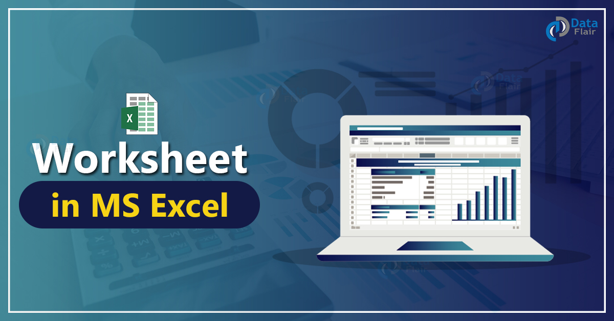 worksheet in MS Excel