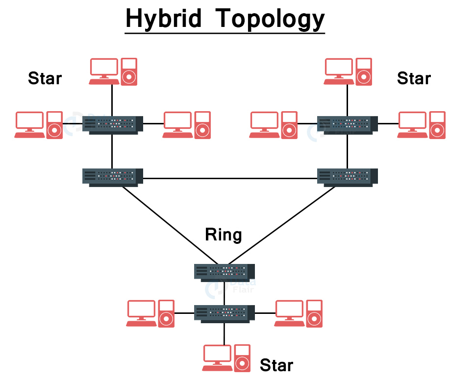 Hybrid Topology Images