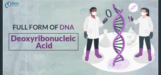 FULL FORM OF DNA