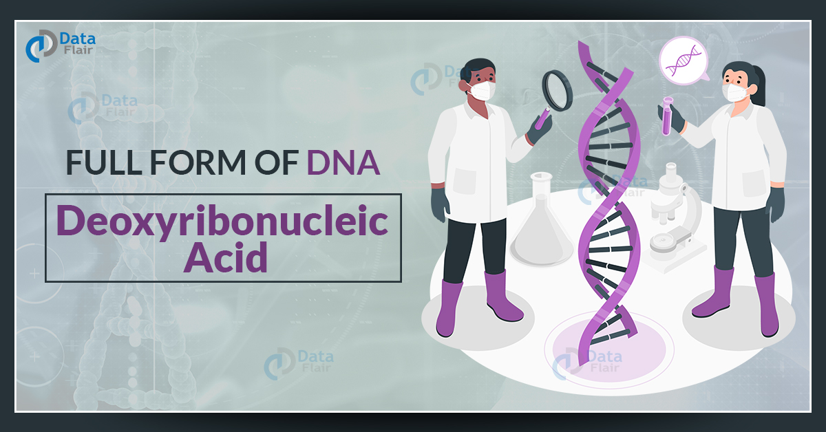 what-is-the-full-form-of-dna-dataflair