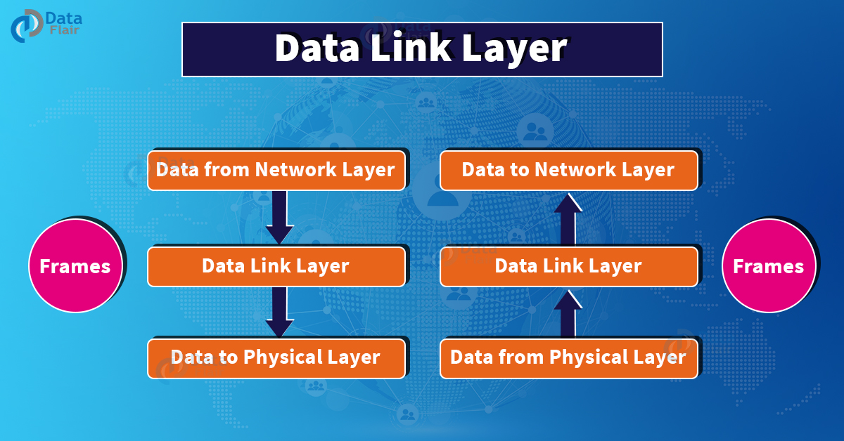 data link layer process