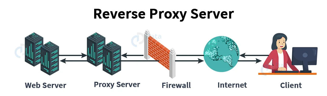 reverse-proxy-server.webp