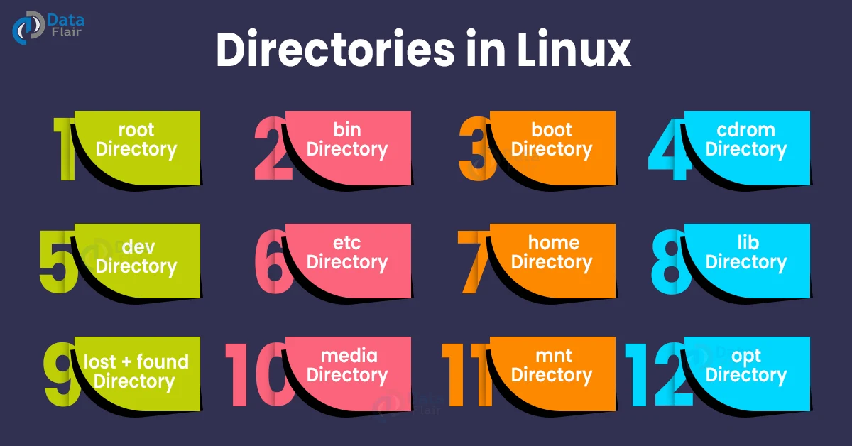 directories in linux