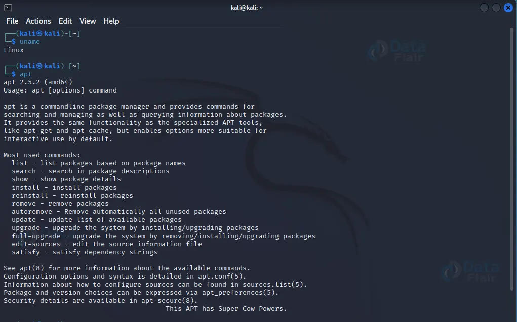 Kali Linux Basic Commands - DataFlair