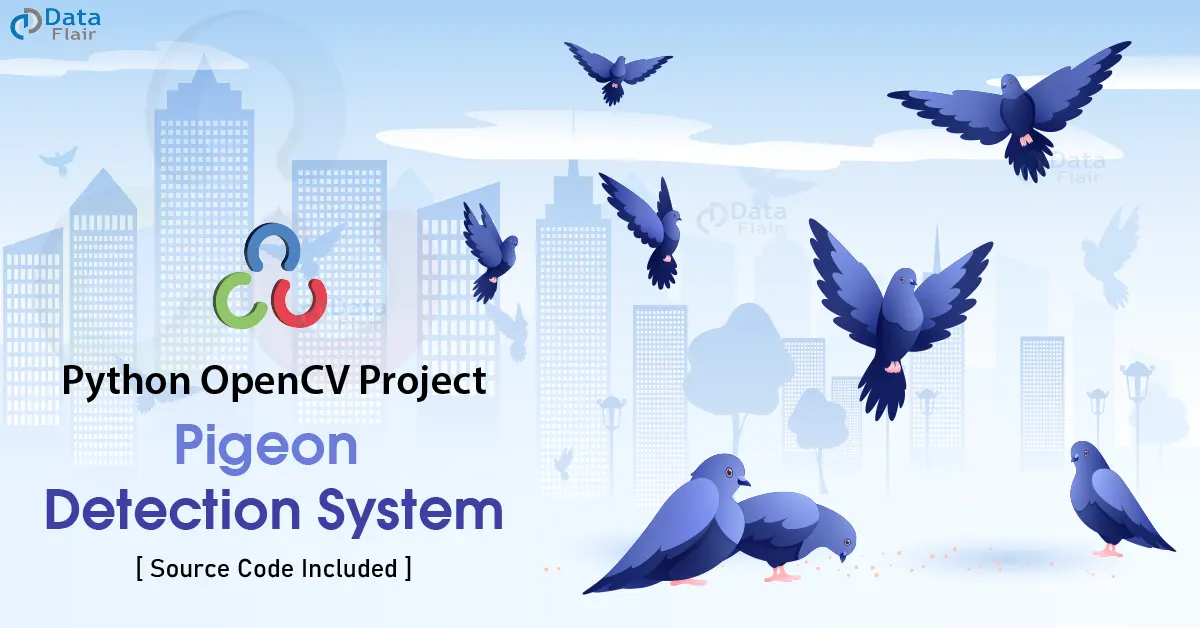 opencv pigeon detection system