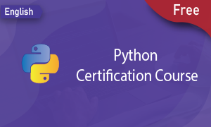 Certified Python Training Course