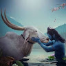 Sangeetha.R